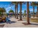 Community pool framed by towering palm trees, featuring lounge chairs and a covered lounge area at 3109 N Black Rock Rd, Buckeye, AZ 85396