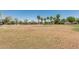 Expansive green space with palm trees in a well-maintained community at 3109 N Black Rock Rd, Buckeye, AZ 85396