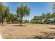 Expansive open field with scattered trees, providing a green space for community recreation and enjoyment at 3109 N Black Rock Rd, Buckeye, AZ 85396