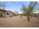Large backyard with gravel landscaping, mature desert trees, and storage shed at 4684 E Coachwhip Rd, Cave Creek, AZ 85331