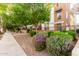Attractive two-story exterior featuring a well-maintained landscape with mature trees and purple flowering shrubs at 706 E Washington St # 207, Phoenix, AZ 85034