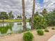 Picturesque view of a tranquil pond with palm trees creating a beautiful natural setting at 7101 W Beardsley Rd # 621, Glendale, AZ 85308