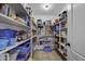 Walk-in pantry with abundant shelving for organized storage at 7832 E Osage Ave, Mesa, AZ 85212