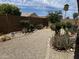 Beautiful, landscaped backyard featuring mature desert plants, rock features, and privacy wall at 830 E Dry Creek Rd, San Tan Valley, AZ 85143