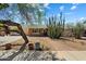 Charming brick home with mature desert landscaping and a brick walkway at 8725 E Coronado Rd, Scottsdale, AZ 85257