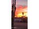 Scenic sunset view featuring a desert landscape with palm trees and a colorful sky at 11119 W Mountain View Rd, Sun City, AZ 85351