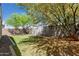 Spacious backyard featuring lush green grass, mature trees, and a privacy fence for outdoor enjoyment at 14114 W Surrey Dr, Surprise, AZ 85379