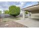A spacious backyard with a covered patio, a mature tree, gravel, and a neatly installed lawn at 1584 E Harrison E St, Chandler, AZ 85225