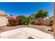 Fully landscaped backyard with desert plants and stone at 17119 N Joshua Path, Surprise, AZ 85374