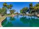 Scenic pond view featuring clear blue water, lush greenery, and palm trees under a bright blue sky at 17119 N Joshua Path, Surprise, AZ 85374