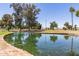 Relaxing pond view with calm waters surrounded by lush green grass and mature trees at 17119 N Joshua Path, Surprise, AZ 85374