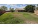 Expansive backyard featuring lush green grass and mature shade trees, perfect for outdoor activities and relaxation at 17806 N 54Th Ln, Glendale, AZ 85308
