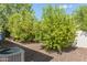 This backyard features pea gravel, several lush trees, and an air conditioning unit at 523 W Vista Ave, Phoenix, AZ 85021
