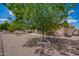 Large backyard featuring a mature tree, gravel landscaping, and a covered patio, offering a serene outdoor space at 6337 E Evergreen St, Mesa, AZ 85205