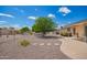 Spacious backyard with gravel landscaping and a mature tree, providing ample room for outdoor activities at 6337 E Evergreen St, Mesa, AZ 85205