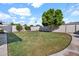 Spacious backyard with lush green grass and well maintained surrounding walls for privacy at 830 E Orchid Ln, Phoenix, AZ 85020