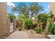 A small backyard with rock landscaping, bushes, and a wrought iron fence at 9270 E Thompson Peak Pkwy # 367, Scottsdale, AZ 85255