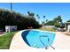 Sparkling pool surrounded by lush greenery and landscaping in backyard at 7537 W Bluefield Ave, Glendale, AZ 85308