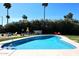 Backyard pool with lounge seating and tall palms, perfect for summer entertaining at 7537 W Bluefield Ave, Glendale, AZ 85308