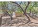 Large low maintenance backyard with mature trees and a block fence at 13337 W Evans Dr, Surprise, AZ 85379