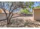 Large low maintenance backyard featuring mature trees and a block fence at 13337 W Evans Dr, Surprise, AZ 85379