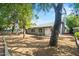 View of a spacious backyard with mature trees, covered patio, and well-maintained landscaping at 16412 N 33Rd Ave, Phoenix, AZ 85053