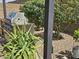 Outdoor grill area surrounded by lush green foliage and a desert-landscaped backyard at 16781 S 181St Ln, Goodyear, AZ 85338
