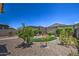 Spacious backyard with desert landscaping, an artificial turf area, and a covered patio at 16781 S 181St Ln, Goodyear, AZ 85338