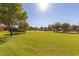 Lush green space with mature trees, flower beds, and visible volleyball net in this well maintained neighborhood at 1867 S Seton Ave, Gilbert, AZ 85295