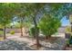 Backyard patio area with mature trees, landscaping, and a view of the pool, perfect for outdoor relaxation at 2534 N Mitchell St. St, Phoenix, AZ 85006