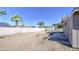 Spacious backyard featuring a block wall, storage shed, covered patio and mature palm trees at 646 W Grove Cir, Mesa, AZ 85210