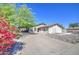 Single-story home with a desert landscape, mature trees, and vibrant bougainvillea in the front yard at 646 W Grove Cir, Mesa, AZ 85210