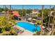 Aerial view of community pool featuring lounge chairs, umbrellas, and mature landscaping at 7315 E Arlington Rd, Scottsdale, AZ 85250