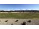 Large backyard with lush green grass and mountain views beyond the stone privacy wall at 9547 W Parkway Dr, Tolleson, AZ 85353
