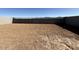 Dirt backyard surrounded by block walls, providing a blank canvas for your landscaping ideas at 9547 W Parkway Dr, Tolleson, AZ 85353