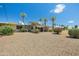 Expansive backyard featuring desert landscaping, lush bushes, and tall palm trees creating a tranquil outdoor oasis at 10429 W Oakmont Dr, Sun City, AZ 85351