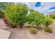 Private yard featuring mature trees, lush greenery, and low maintenance desert landscaping at 11651 E Appaloosa Pl, Scottsdale, AZ 85259