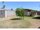 Backyard showing two outbuildings, shed and barn, and a lush green tree at 14439 N 38Th Pl, Phoenix, AZ 85032