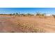 Single-story home with desert landscaping and spacious surroundings at 3747 S Mammoth Dr, Casa Grande, AZ 85193