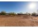 Vast, sunny property with multiple trees and building exteriors on a cloudless day at 3747 S Mammoth Dr, Casa Grande, AZ 85193