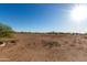 Large plot of land with scattered trees and view of distant homes under a clear sky at 3747 S Mammoth Dr, Casa Grande, AZ 85193