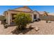 Backyard showcasing desert landscaping, vibrant flowering bushes, and the home's exterior at 4262 E Sundance Ave, Gilbert, AZ 85297