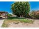 Spacious backyard featuring a large shade tree, flowering bushes, and covered patio area at 6055 E Hannibal St, Mesa, AZ 85205