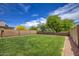 A well-maintained backyard featuring lush green grass, a secure block fence, and charming string lights overhead at 11301 W Glenrosa Ave, Phoenix, AZ 85037