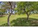 Expansive green space with mature trees offering shade and a peaceful environment at 11301 W Glenrosa Ave, Phoenix, AZ 85037