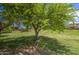 Scenic view of a large green space with mature trees, perfect for outdoor enjoyment at 11301 W Glenrosa Ave, Phoenix, AZ 85037