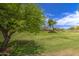 Picturesque view of a lush green space with mature trees and nearby homes at 11301 W Glenrosa Ave, Phoenix, AZ 85037