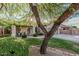 Lovely single-story home featuring mature tree, lush lawn, and inviting front porch with seating at 1508 S Danyell Pl, Chandler, AZ 85286
