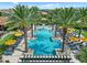 Gorgeous community pool featuring lounge chairs, umbrellas, palm trees, and pristine landscaping in this sunny aerial view at 1588 E Sweet Citrus Dr, Queen Creek, AZ 85140