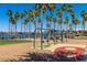Vibrant playground with swings and picnic gazebos, set against a backdrop of palm trees and lake at 17514 W Desert Sage Dr, Goodyear, AZ 85338